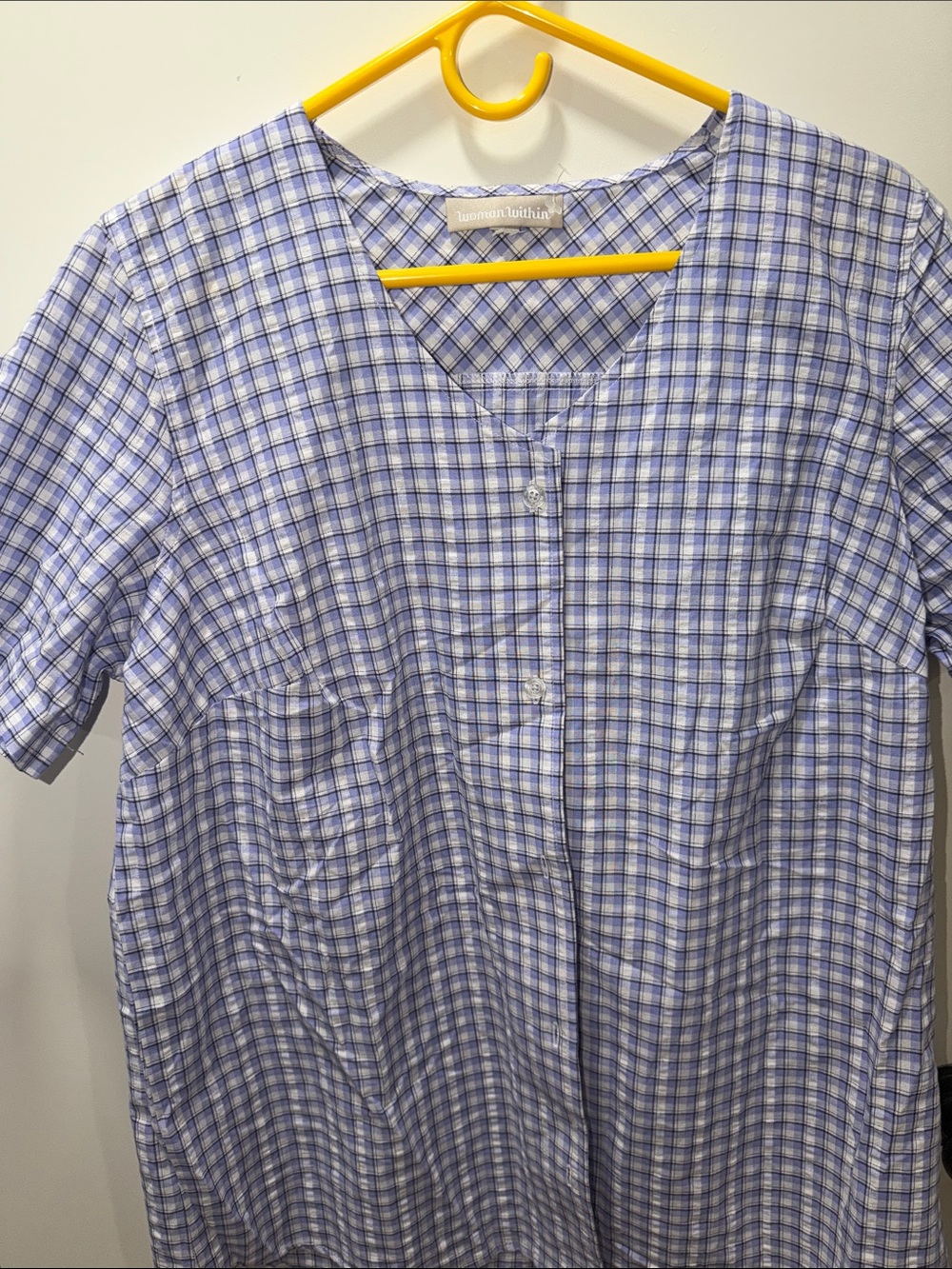 Woman Within Light Blue and White Checked Short-Sleeve Shirt